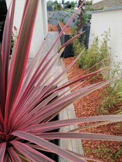 Paysagiste Maen Roch Création de jardin 25 Maçonnerie Maen Roch